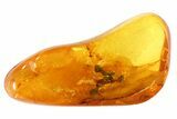 Fossil Ant (Formicidae) & Two Spiders (Aranea) In Baltic Amber #72222-1